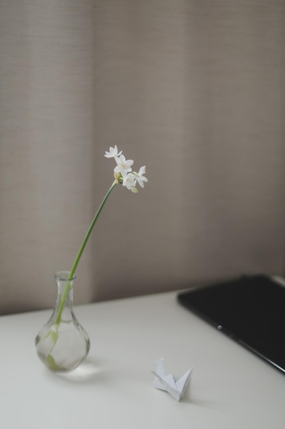 Jonquille dans un vase sur la table dans une chambre confortable et ensoleillée