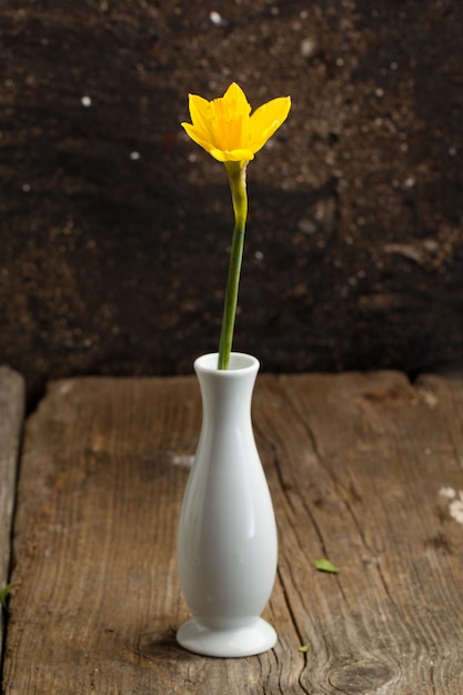 Jonquille jaune dans un vase