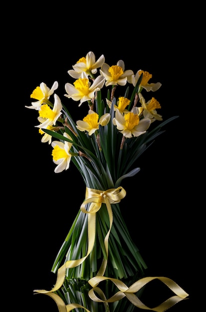 Jonquilles de fleurs de printemps jaune sur fond noir avec reflet