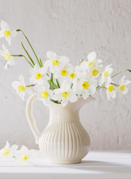 Jonquilles en pot sur fond blanc