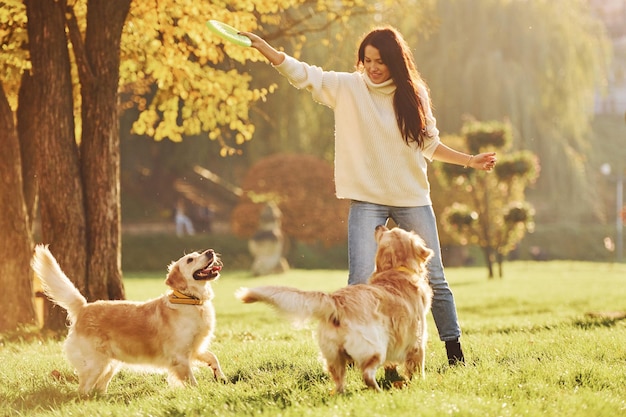 Jouer au frisbee Une femme se promène avec deux chiens Golden Retriever dans le parc