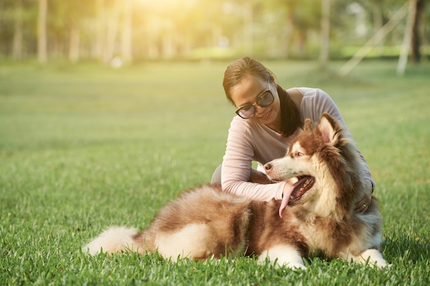 Jouer avec un chien dans le parc d'été