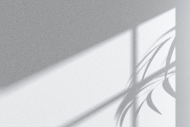 Photo jouer sur une ombre sur le mur
