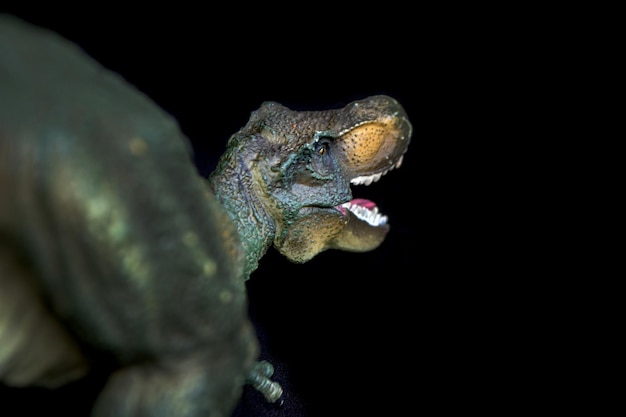 Jouet de dinosaures Tyrannosaurus isolé sur fond blanc avec un tracé de détourage. Photo de haute qualité