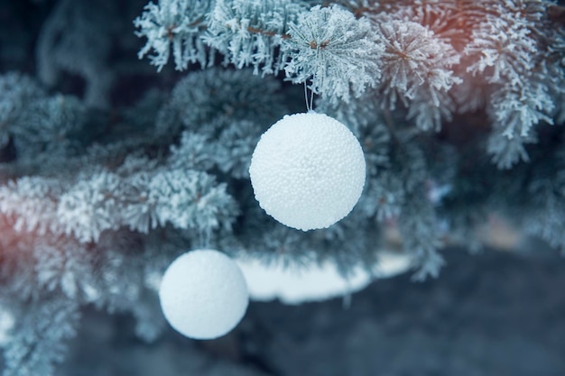 Jouet de Noël sur un arbre enneigé