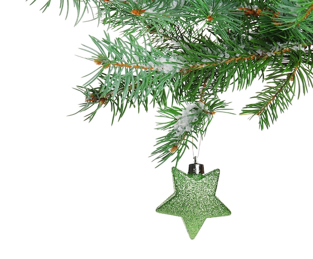 Photo jouet de noël sur une branche de sapin, isolé sur blanc