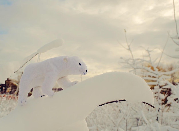 Jouet d'ours polaire à pied sur la branche enneigée de la brousse