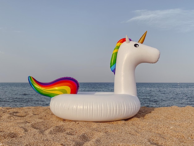 Photo un jouet en peluche sur la plage contre le ciel