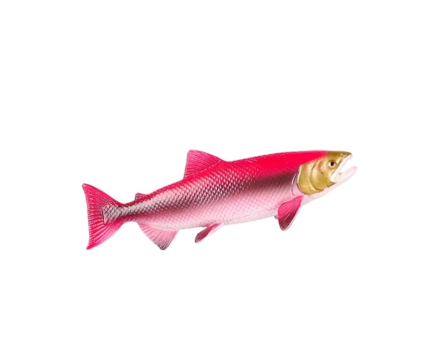 Jouet en plastique animal saumon sockeye isolé sur blanc