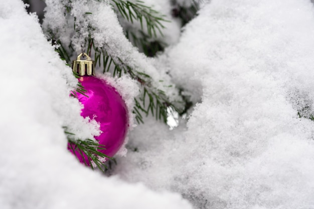 Des jouets d'arbre de Noël rouge vif sont suspendus à une branche d'arbre de Noël en neige blanche