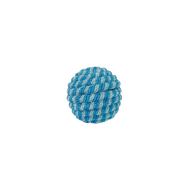 jouets balle bleue pour chien