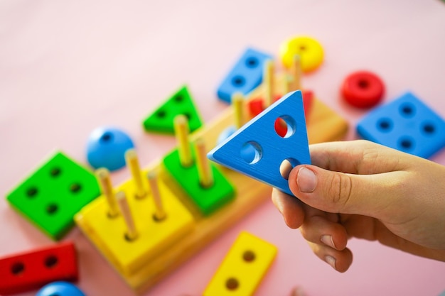 jouets en bois écologiques L'enfant collecte un triateur Jouets de logique éducatifs pour les enfants Jeux pour le développement de l'enfant