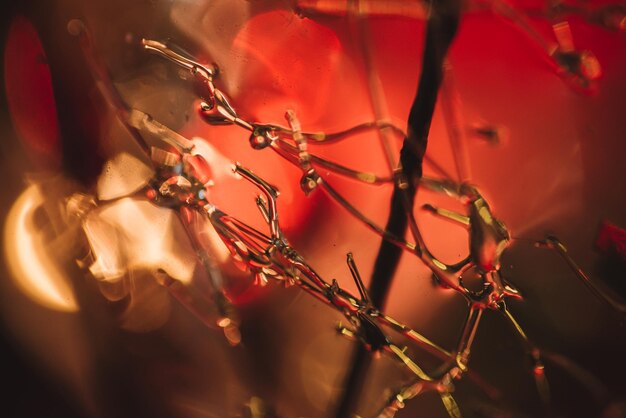 Jouets et lumières de sapin de Noël