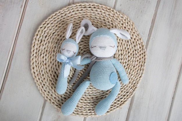 Jouets en peluche tricotés amigurumi passe-temps au crochet artisanal