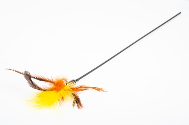 Jouets pour animaux de compagnie. Stick avec des plumes colorées pour chat. Studio photo.