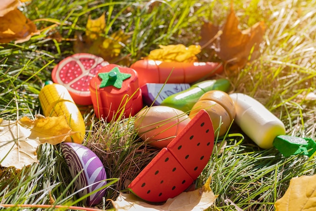 Jouets pour enfants légumes en bois sur l'herbe verte gros plan ensemble de légumes en bois pour enfants