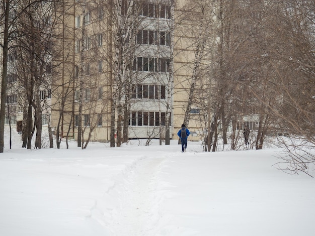 Jour d'hiver Arbres sous la neige Nature en ville Environnement urbain