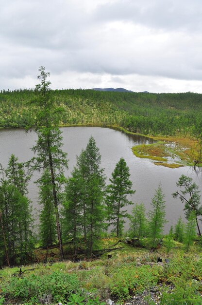 Le jour nuageux du lac Yakut taiga