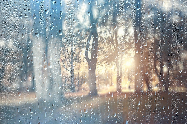 jour de printemps dans le parc / vue sur le paysage printanier dans le parc à travers la fenêtre, gouttes de pluie sur la vitre