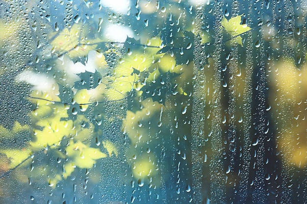 jour de printemps dans le parc / vue sur le paysage printanier du parc à travers la fenêtre, gouttes de pluie sur le verre