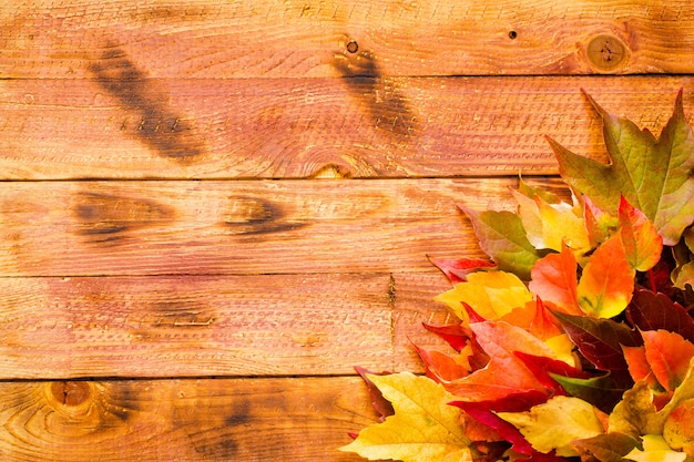 Jour de Thanksgiving automne feuilles fond