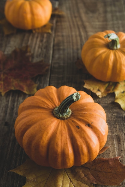 Jour de Thanksgiving automne toujours la vie avec des citrouilles sur vieux bois