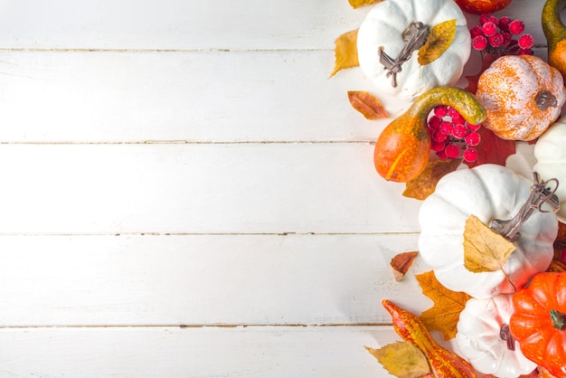 Jour de Thanksgiving, carte de fête d'Halloween avec citrouilles, baies décoratives et feuilles d'automne sur l'espace de copie de table en bois blanc. Espace de copie flatlay de vacances d'automne