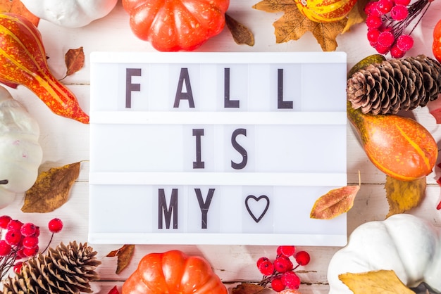 Photo jour de thanksgiving, carte de fête d'halloween avec citrouilles, baies décoratives et feuilles d'automne sur l'espace de copie de table en bois blanc. espace de copie flatlay de vacances d'automne