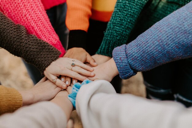 la journée des amis