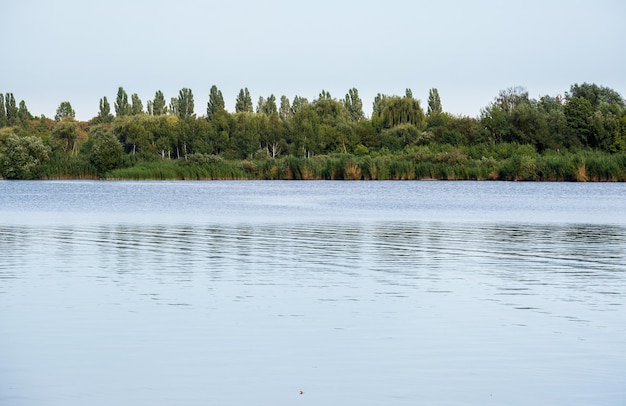 Journée brumeuse d'été sur un lac pittoresque