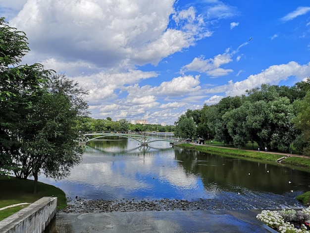 Journée ensoleillée dans le ciel bleu de l'étang du parc de la ville avec des canards flottants et des mouettes volantes soleil