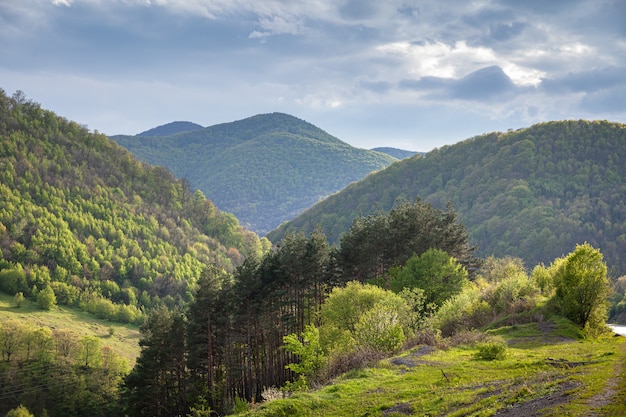 Journée ensoleillée dans le paysage de montagne