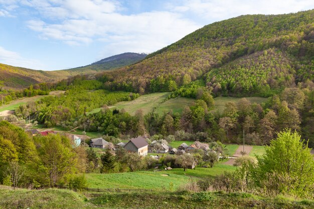 Photo journée ensoleillée dans le paysage de montagne