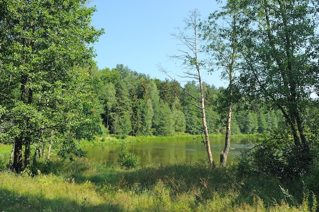 Journée d'été au détour de la rivière