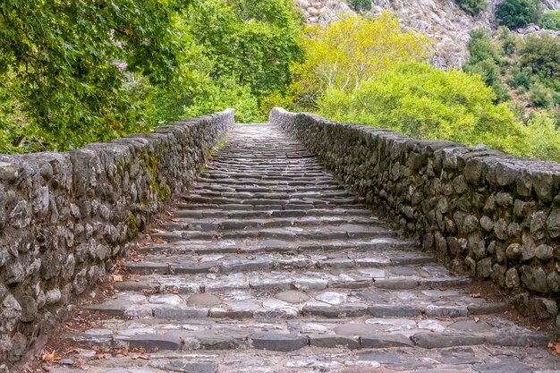 Journée d'été dans l'ancien parc. Marches anciennes avec balustrade en pierre