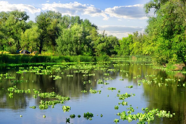 Journée d'été ensoleillée sur une belle rivière