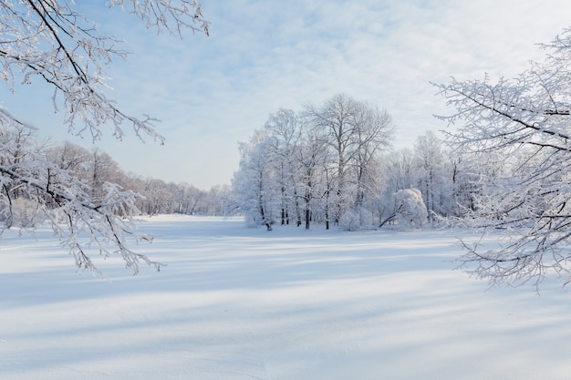 Journée d'hiver enneigée et ensoleillée en Russie.