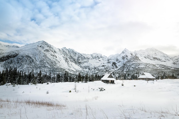 Journée d'hiver ensoleillée. Zakopane. Tatras. photo de haute qualité