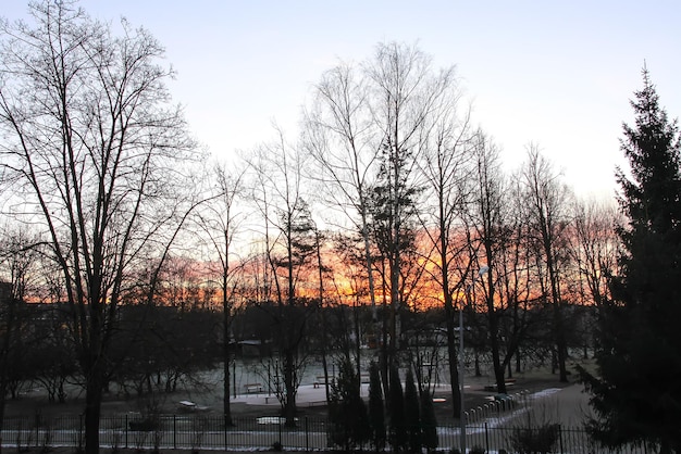 Journée d'hiver en Lettonie Europe Vue panoramique sur la nature Lumière du coucher du soleil