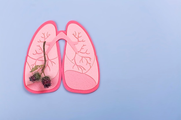 journée mondiale du cancer du poumon journée mondiale de sensibilisation à la pneumonie à la tuberculose
