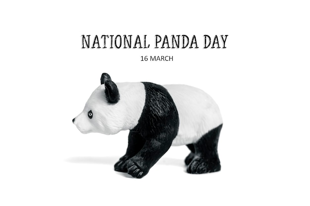Journée nationale du panda 16 mars Carte de voeux