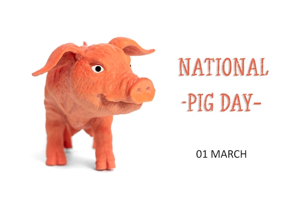 Journée nationale du porc célébrée chaque année le 1er mars