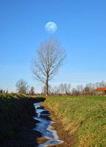 journée de printemps parfaite avec une lune magique dans le ciel bleu