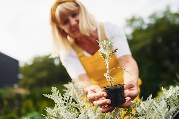 Journée de travail En uniforme de couleur jaune Une femme âgée est dans le jardin pendant la journée Conception des plantes et des saisons