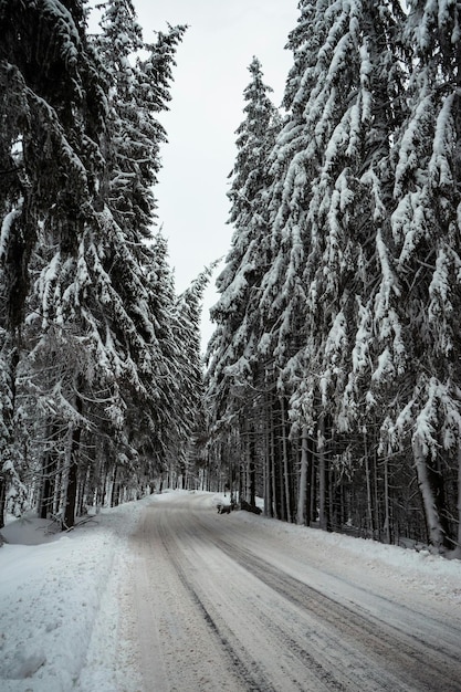 Les jours de neige