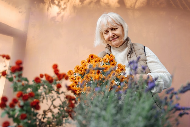 joyeuse jardinière âgée souriante et prenant soin des plantes en fleurs