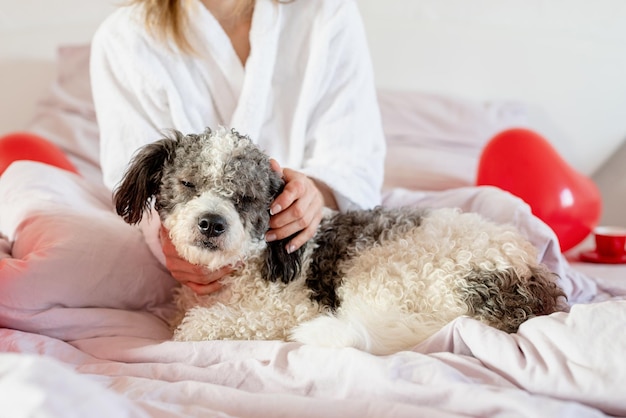 Joyeuse saint Valentin. Belle jeune femme assise sur le lit avec son chien célébrant les vacances avec des ballons rouges