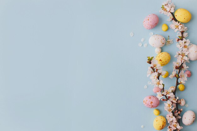 Joyeuses Pâques Oeufs en chocolat de Pâques colorés avec des fleurs de cerisier à plat sur fond bleu