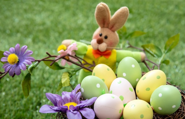 Joyeuses Pâques oeufs de couleur pastel dans un nid sur l'herbe verte vue rapprochée