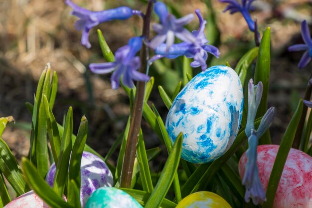 Joyeuses Pâques oeufs et fleurs colorés Herbe et terre